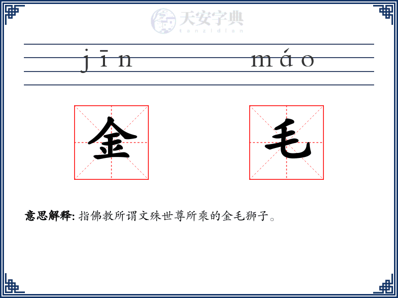 金毛