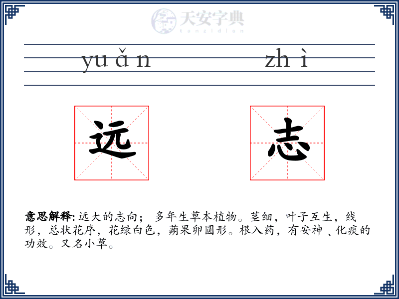 远志