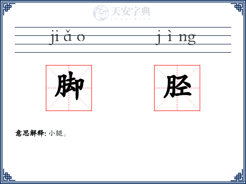脚胫