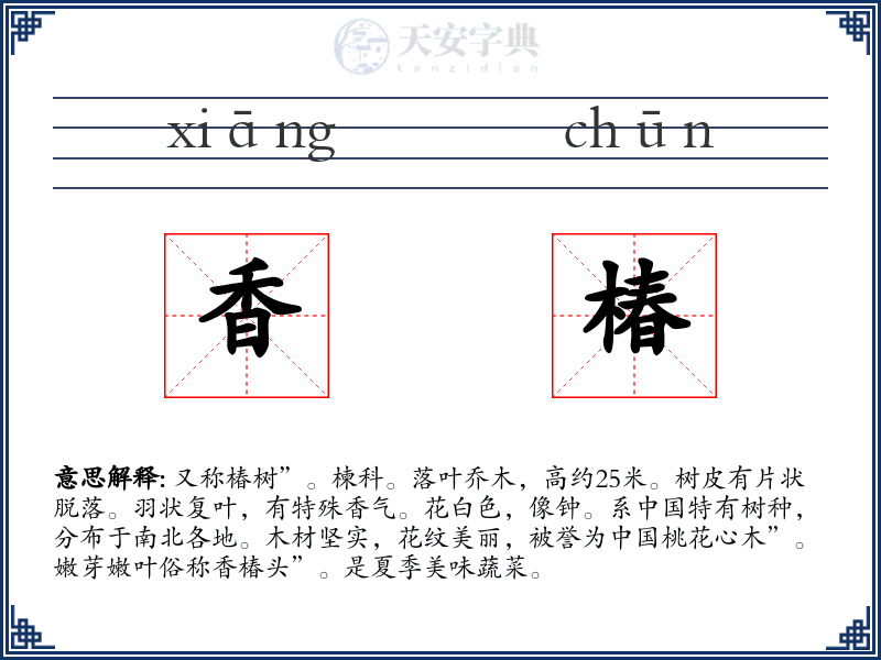 香椿