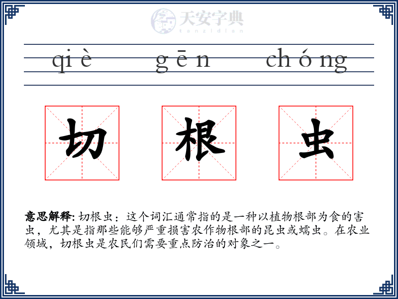 切根虫