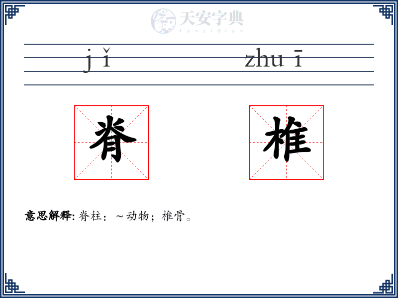 脊椎