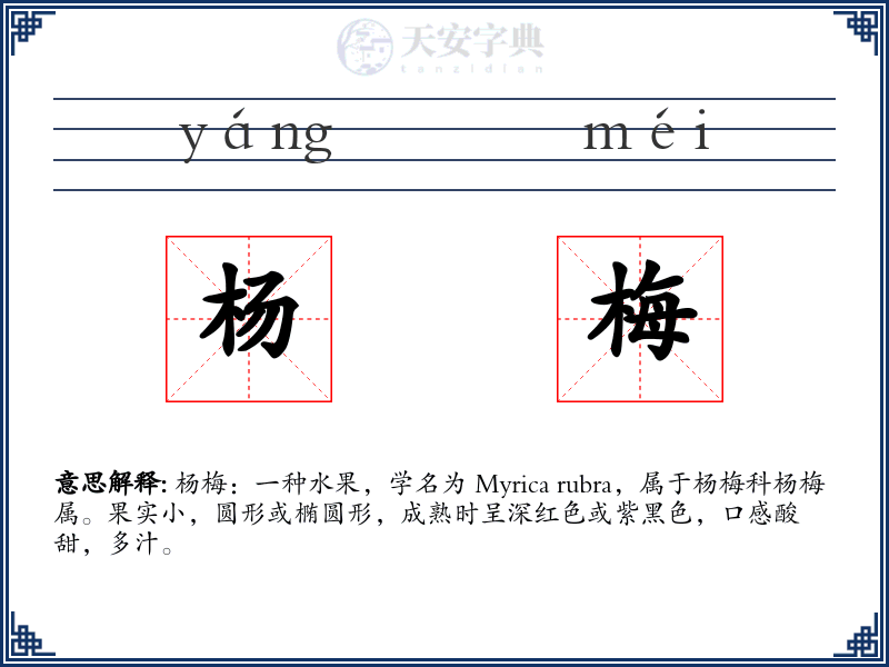 杨梅
