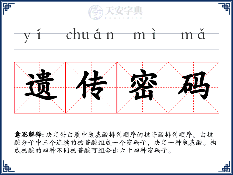遗传密码