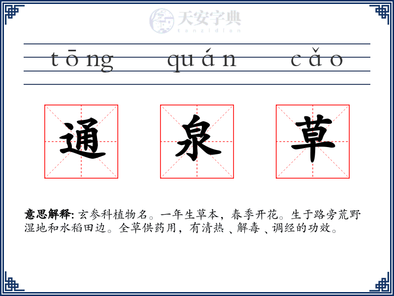 通泉草