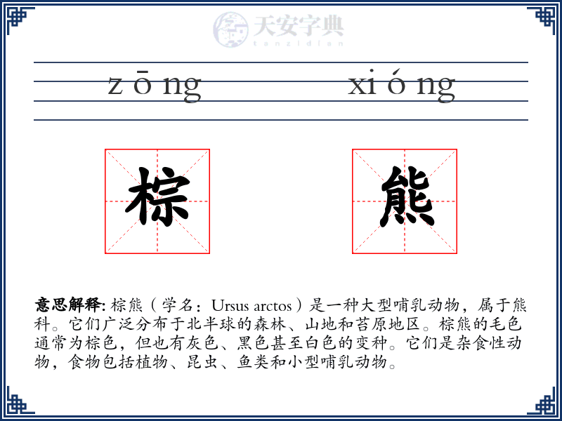 棕熊