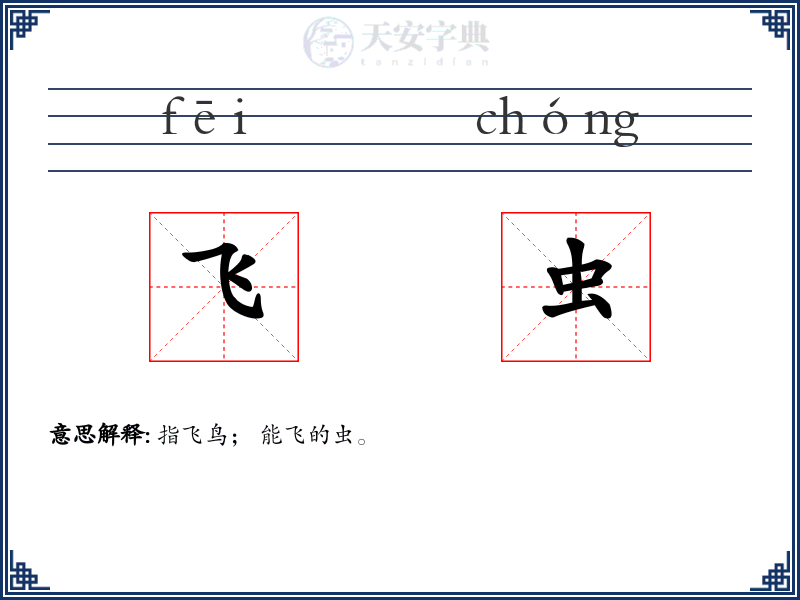 飞虫