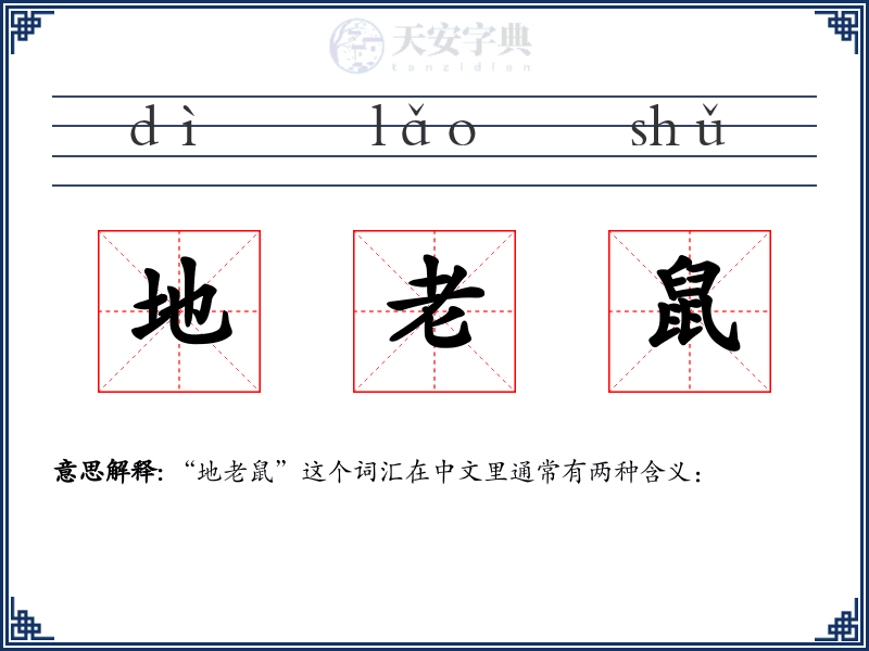 地老鼠
