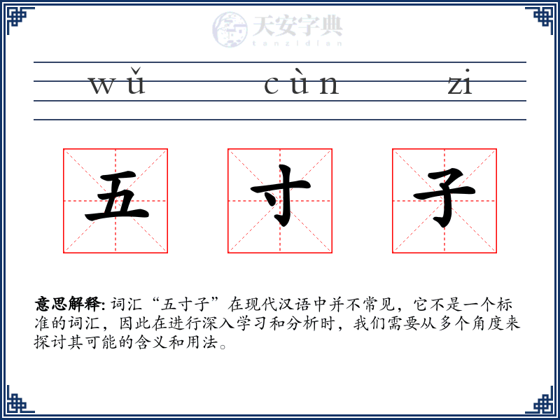 五寸子