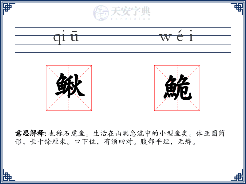 鳅鮠