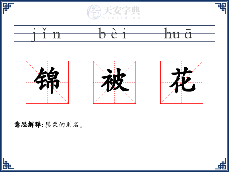 锦被花