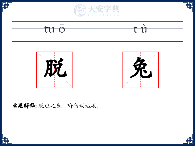 脱兔