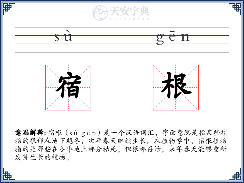 宿根
