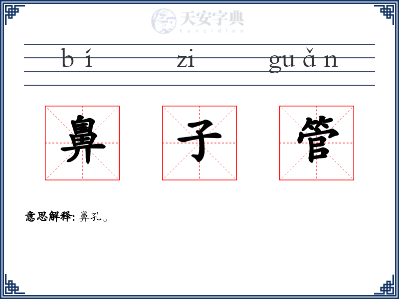 鼻子管