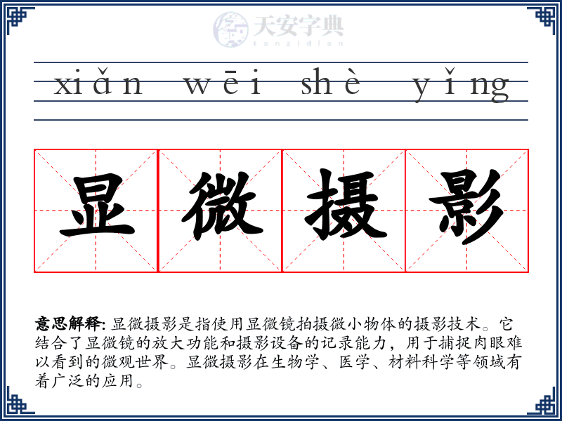 显微摄影