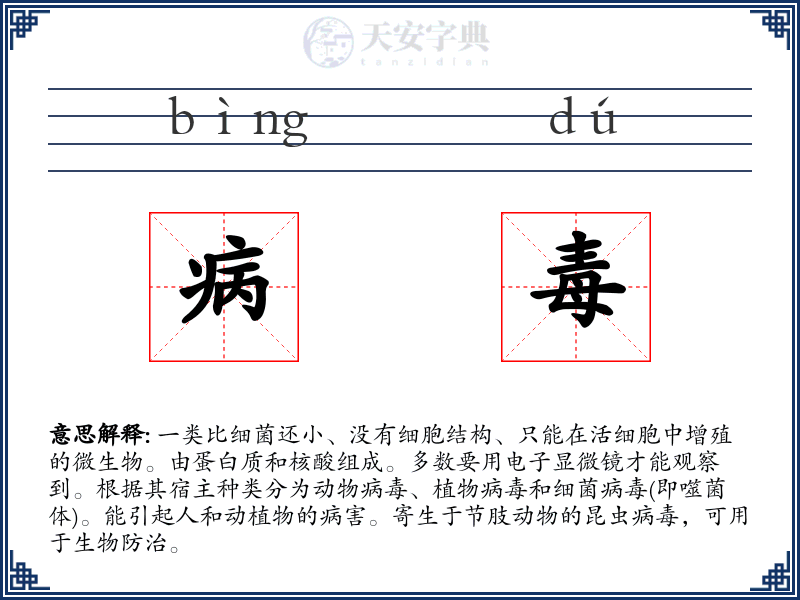 病毒