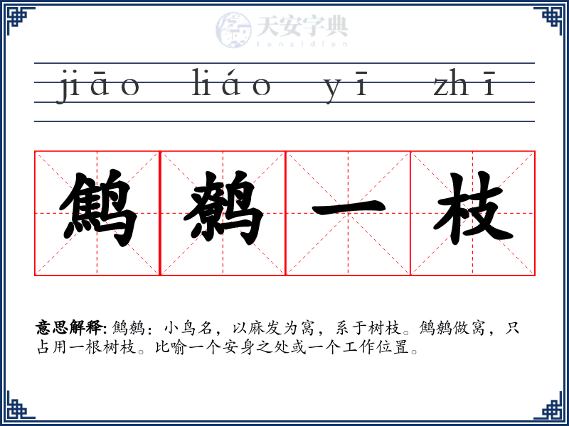 鹪鹩一枝