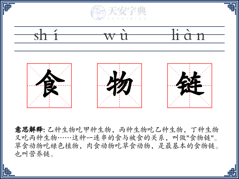 食物链