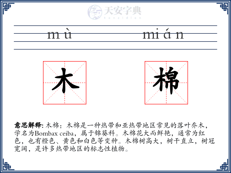 木棉