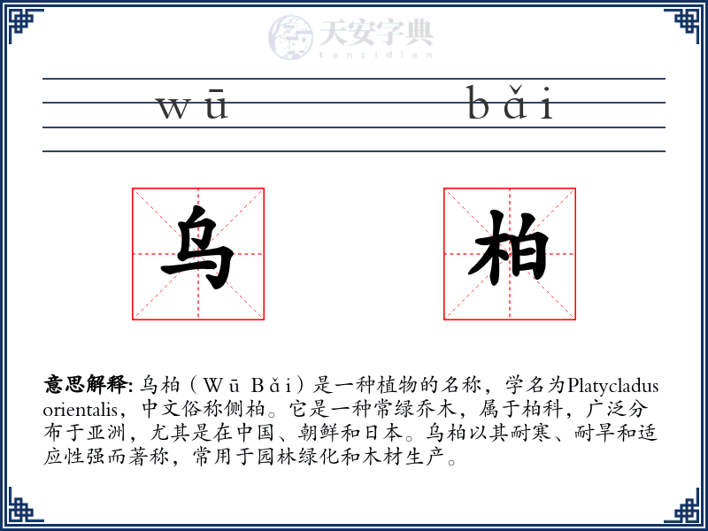 乌柏