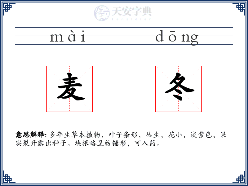 麦冬