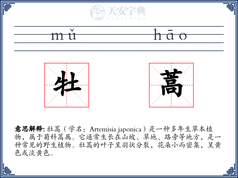 牡蒿
