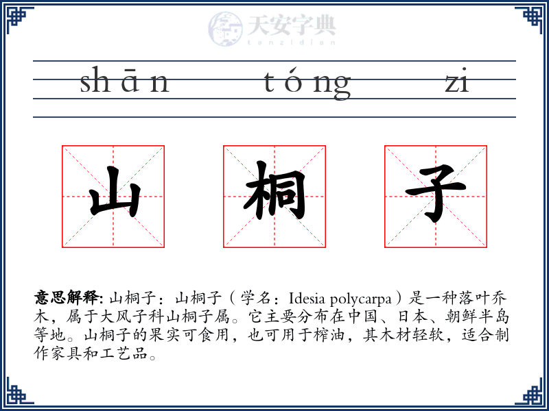 山桐子