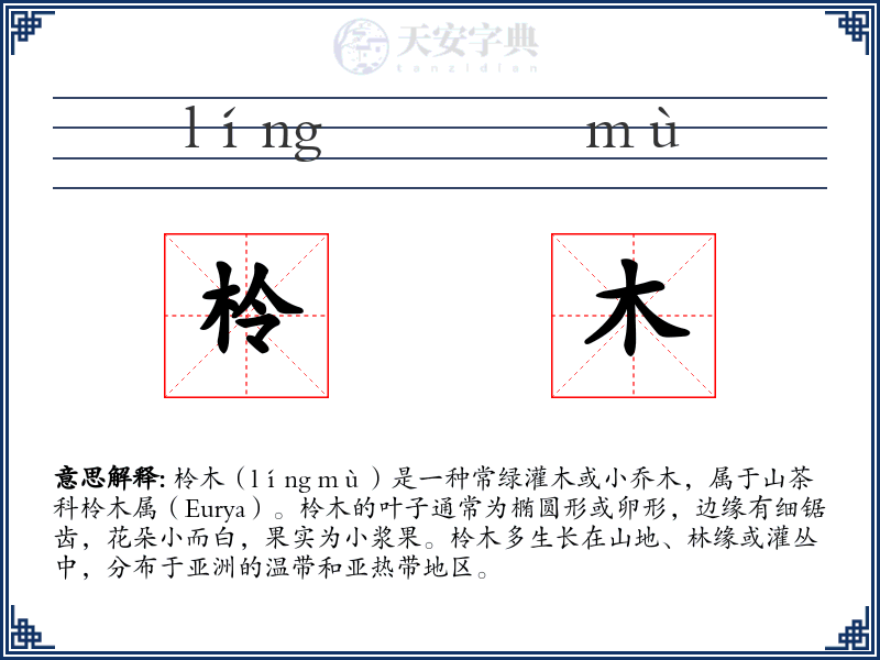 柃木