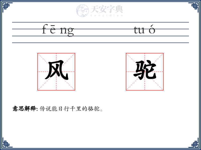 风驼