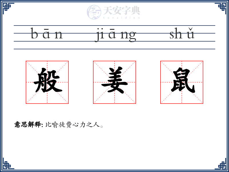 般姜鼠