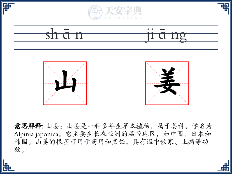 山姜