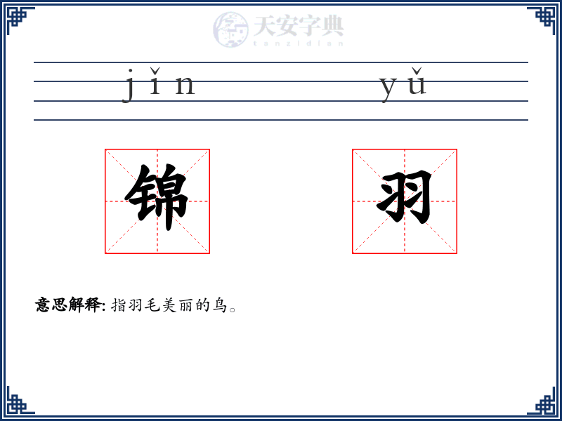 锦羽