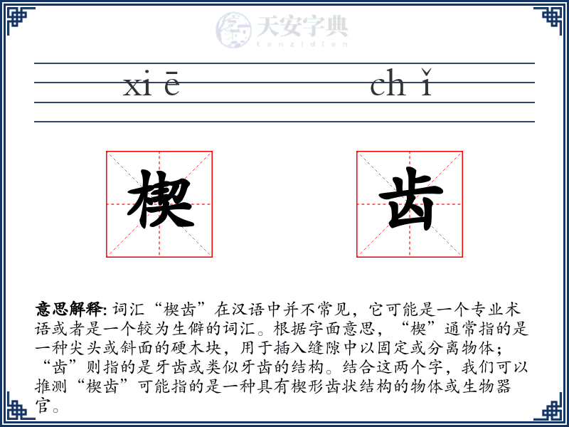 楔齿