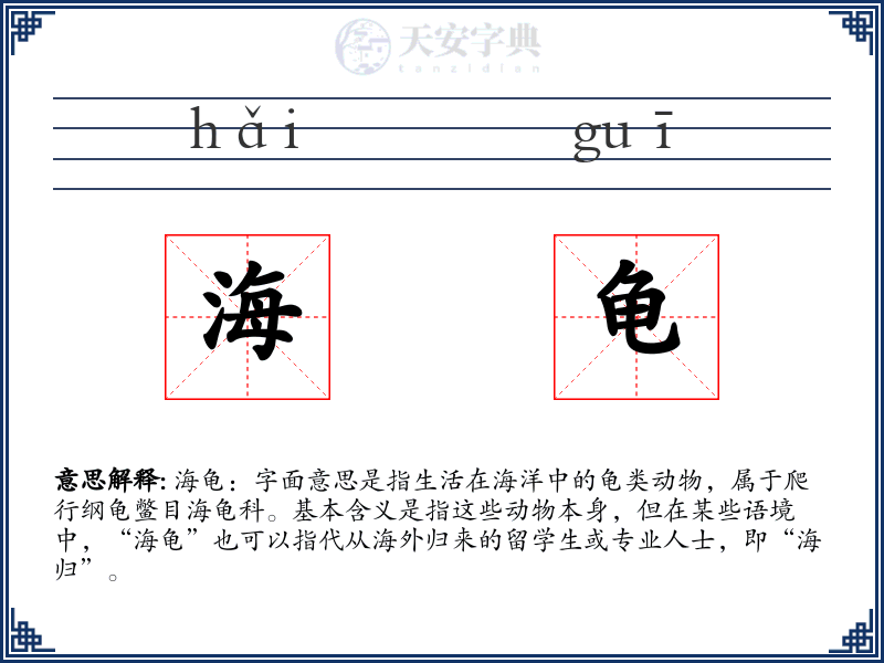 海龟