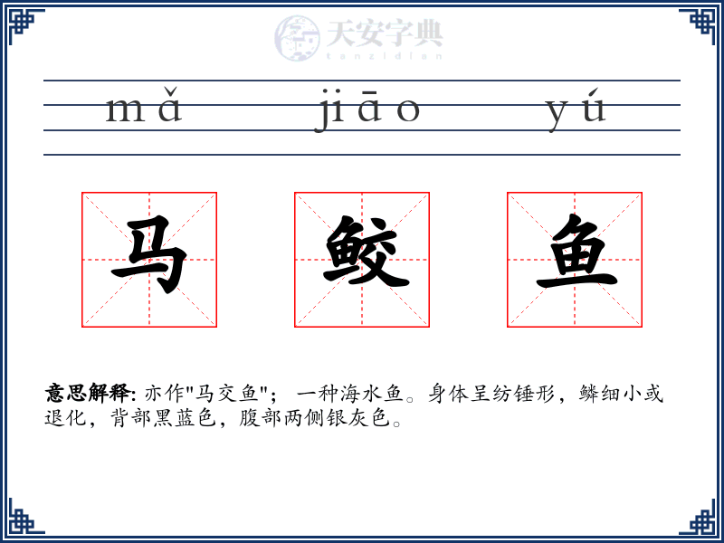 马鲛鱼