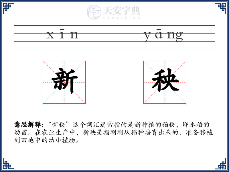 新秧