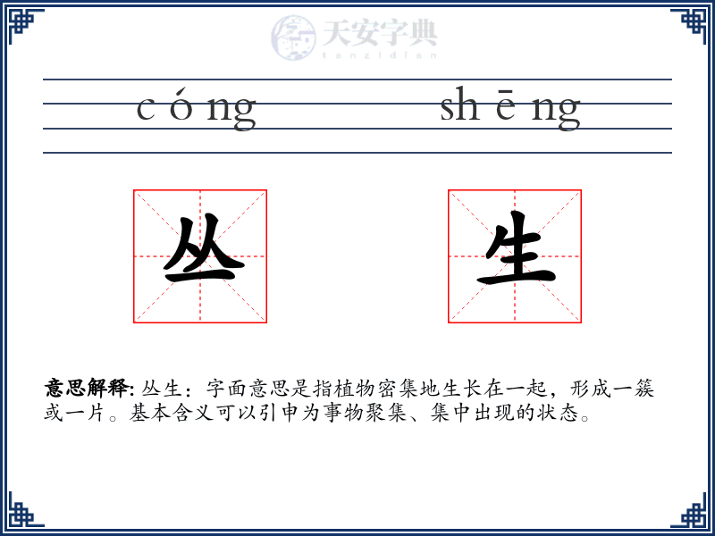 丛生