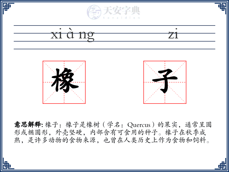 橡子