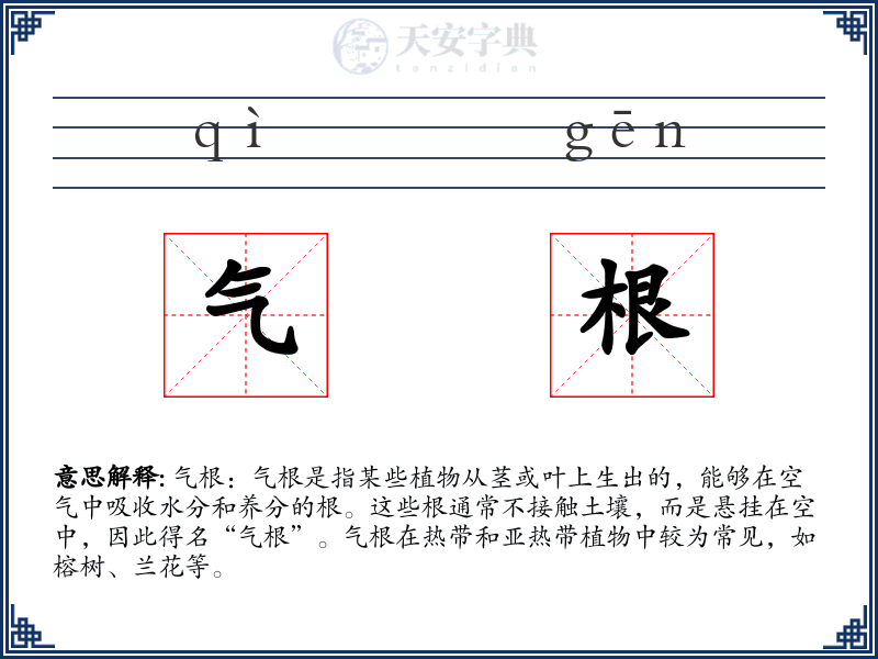 气根