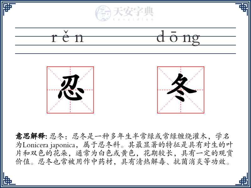 忍冬