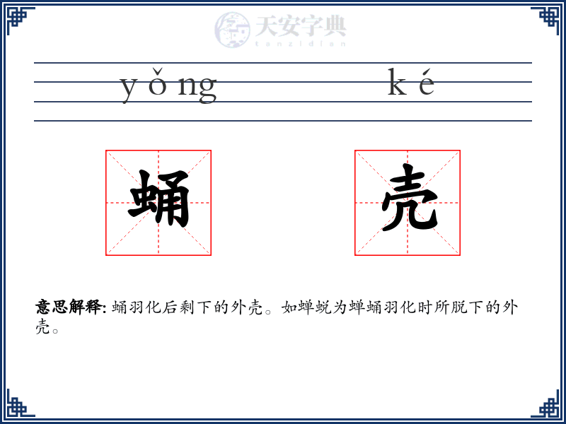 蛹壳