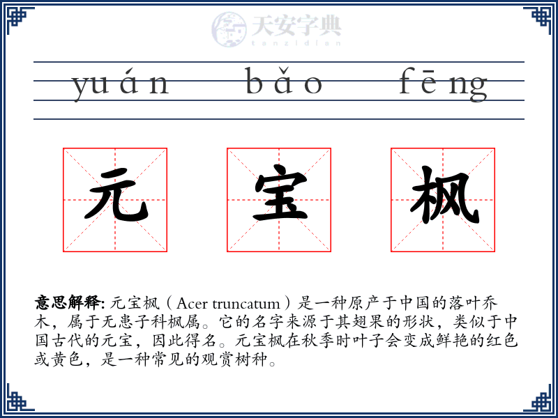 元宝枫
