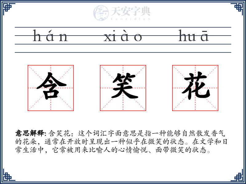 含笑花