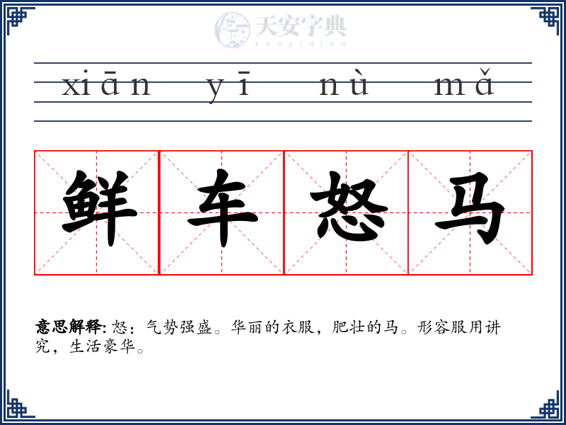 鲜车怒马