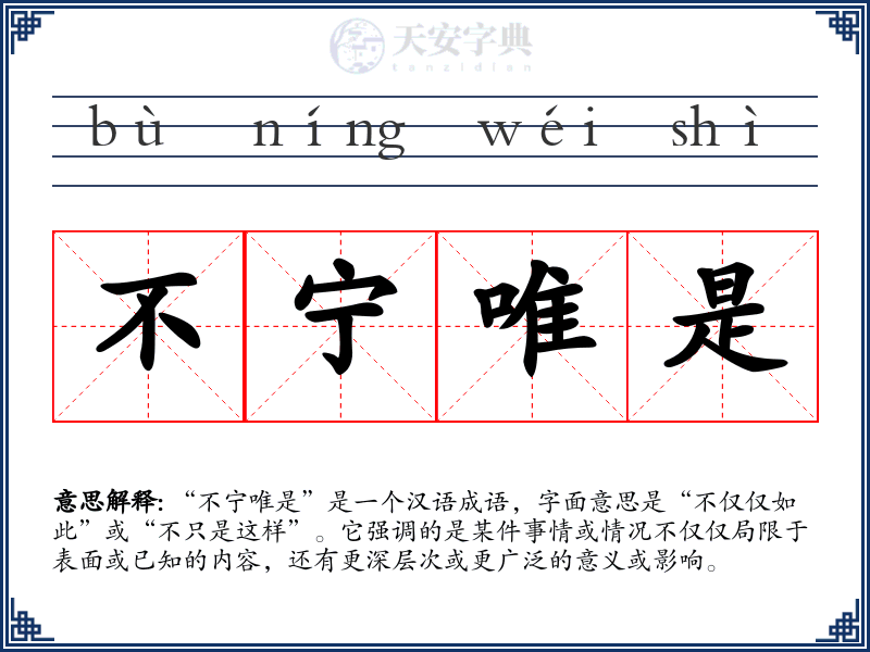 不宁唯是