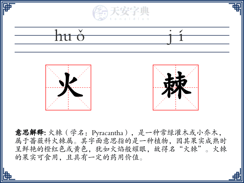 火棘