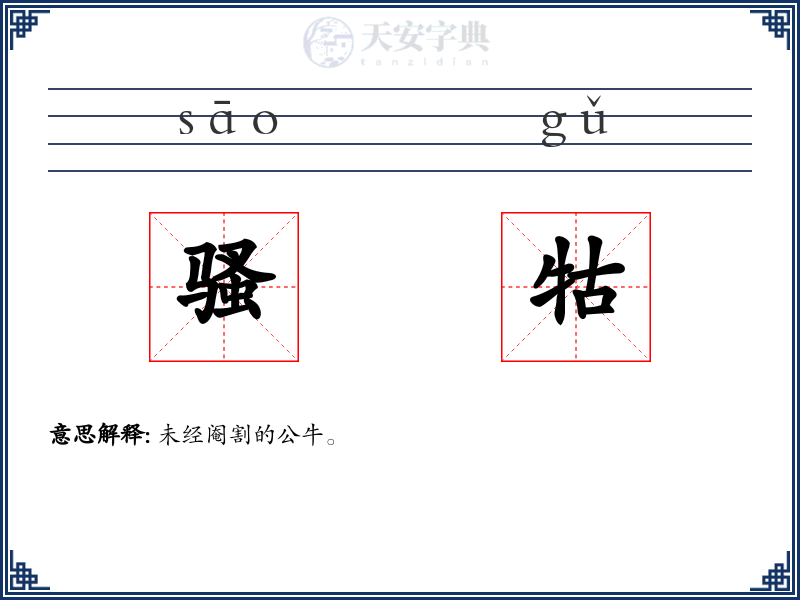 骚牯