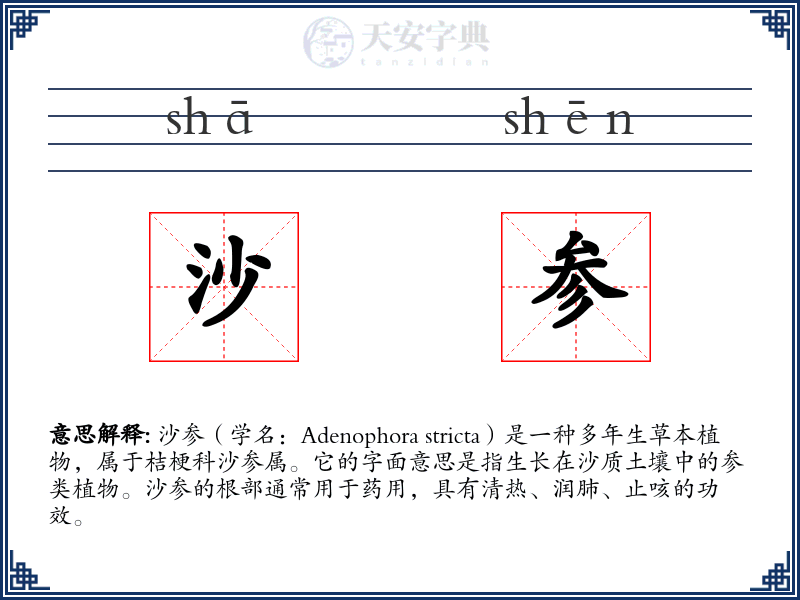 沙参