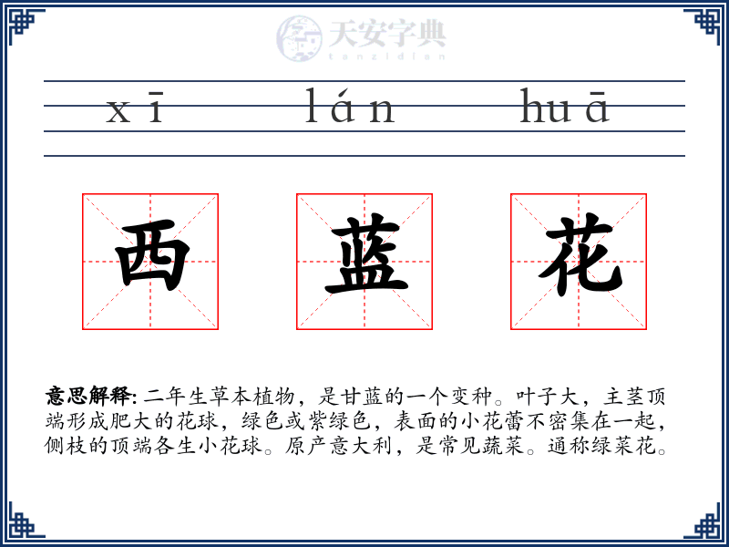 西蓝花