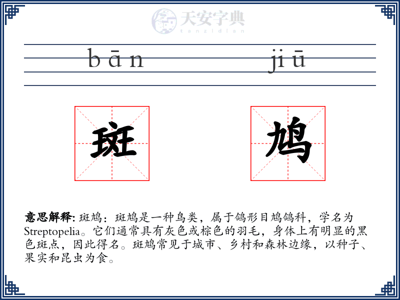 斑鸠